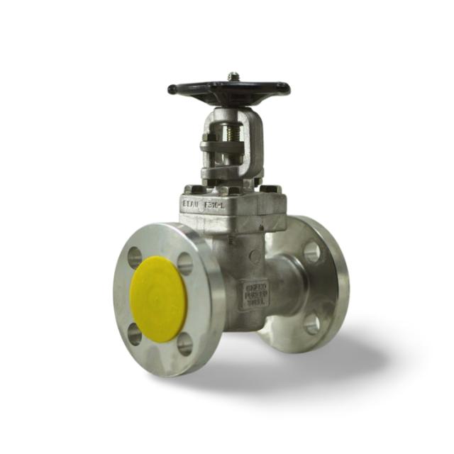 Valvula de compuerta ANSI Acero Inoxidable TRIM 12 Forjada, Bridas 300#