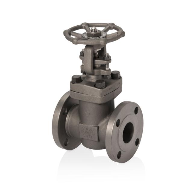 Valvula de Globo ANSI Cuerpo Acero Carbono forjada,TRIM 8, Bridada 300